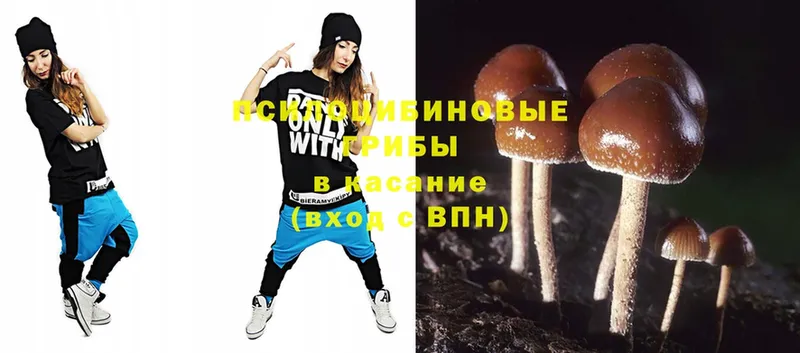 Галлюциногенные грибы Magic Shrooms  Мыски 